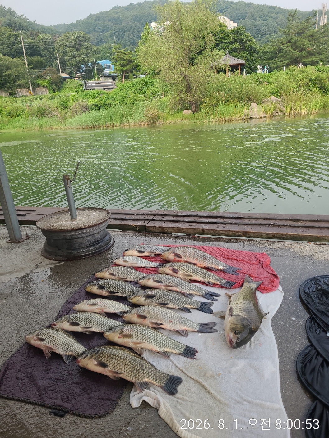 KakaoTalk_20260801_123911445.jpg