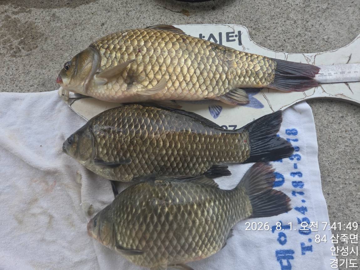 KakaoTalk_20260801_230150368_08.jpg