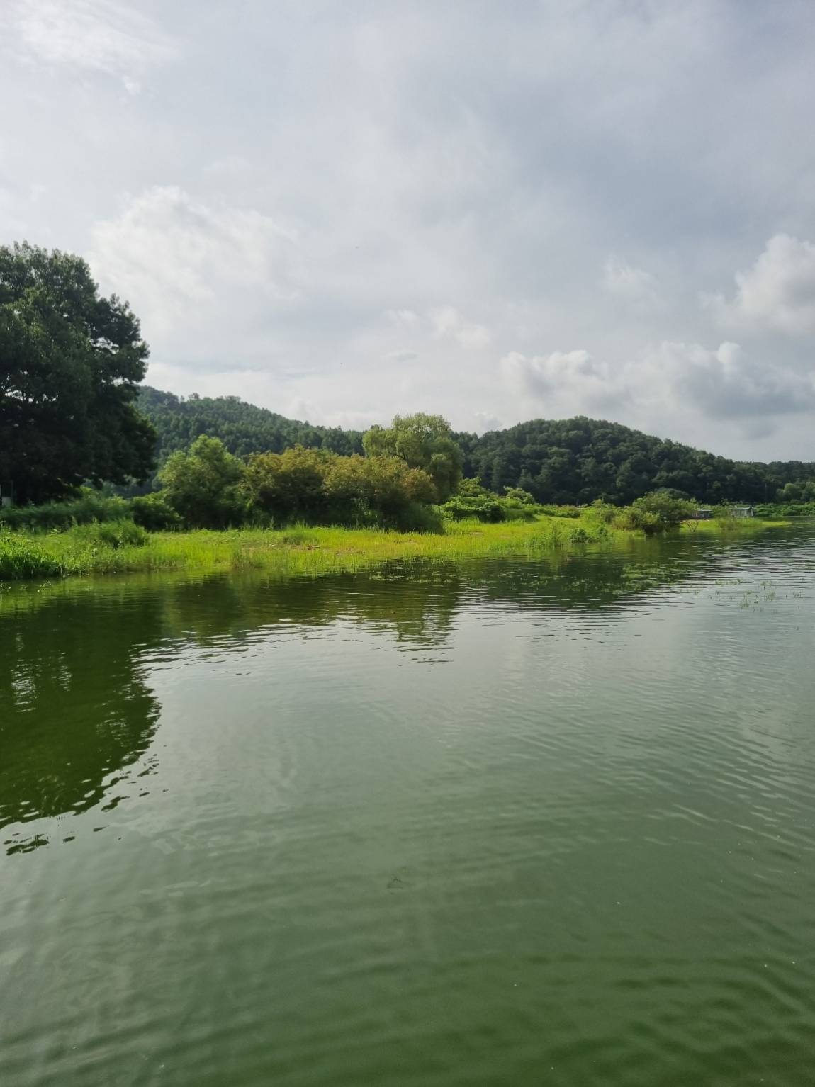 KakaoTalk_20260802_080817989.jpg