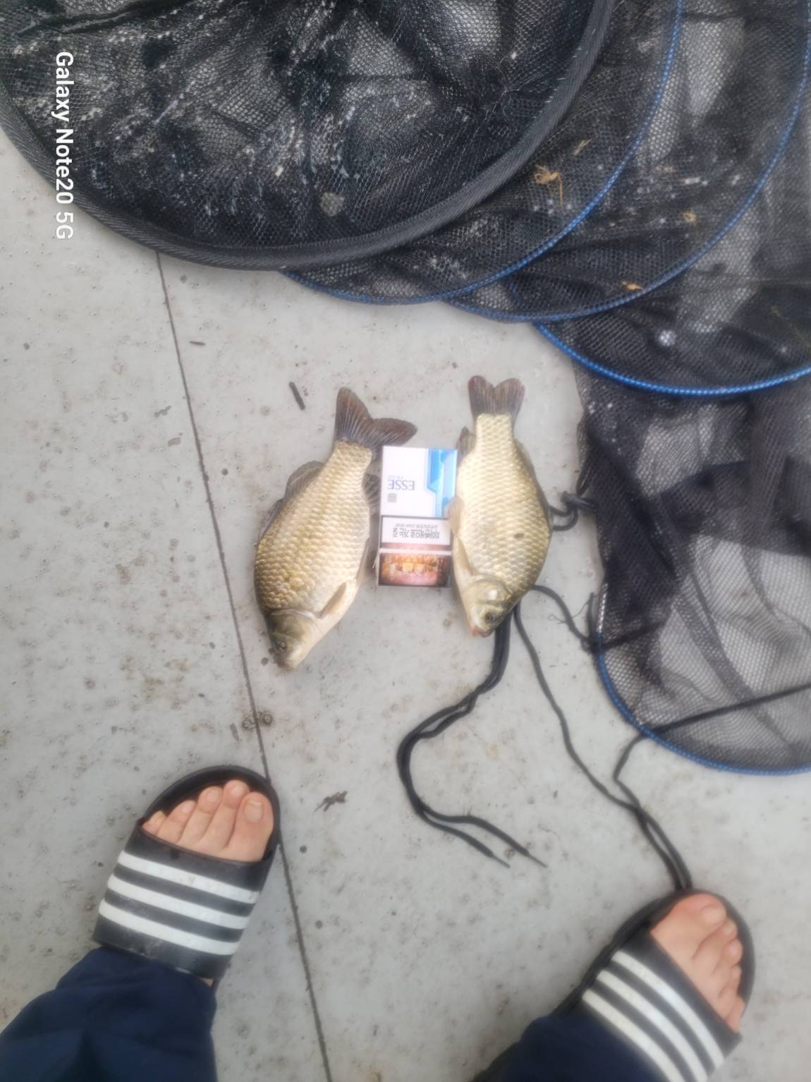 KakaoTalk_20260802_072946984.jpg