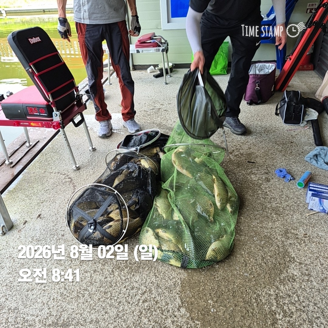 4221.jpg