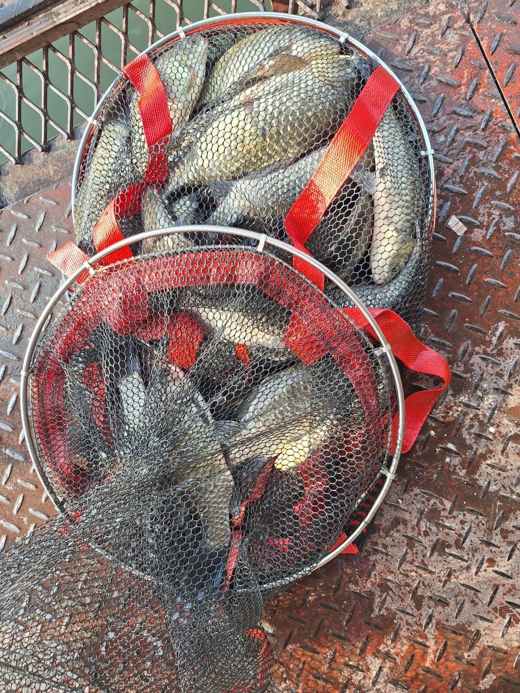 KakaoTalk_20260802_093334969.jpg