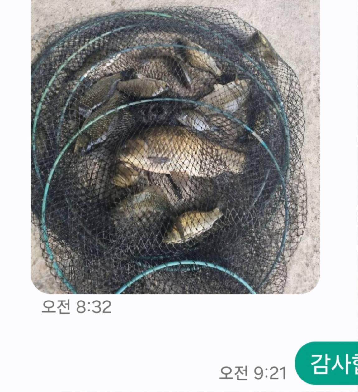 Screenshot_20260802_140553_Messages.jpg