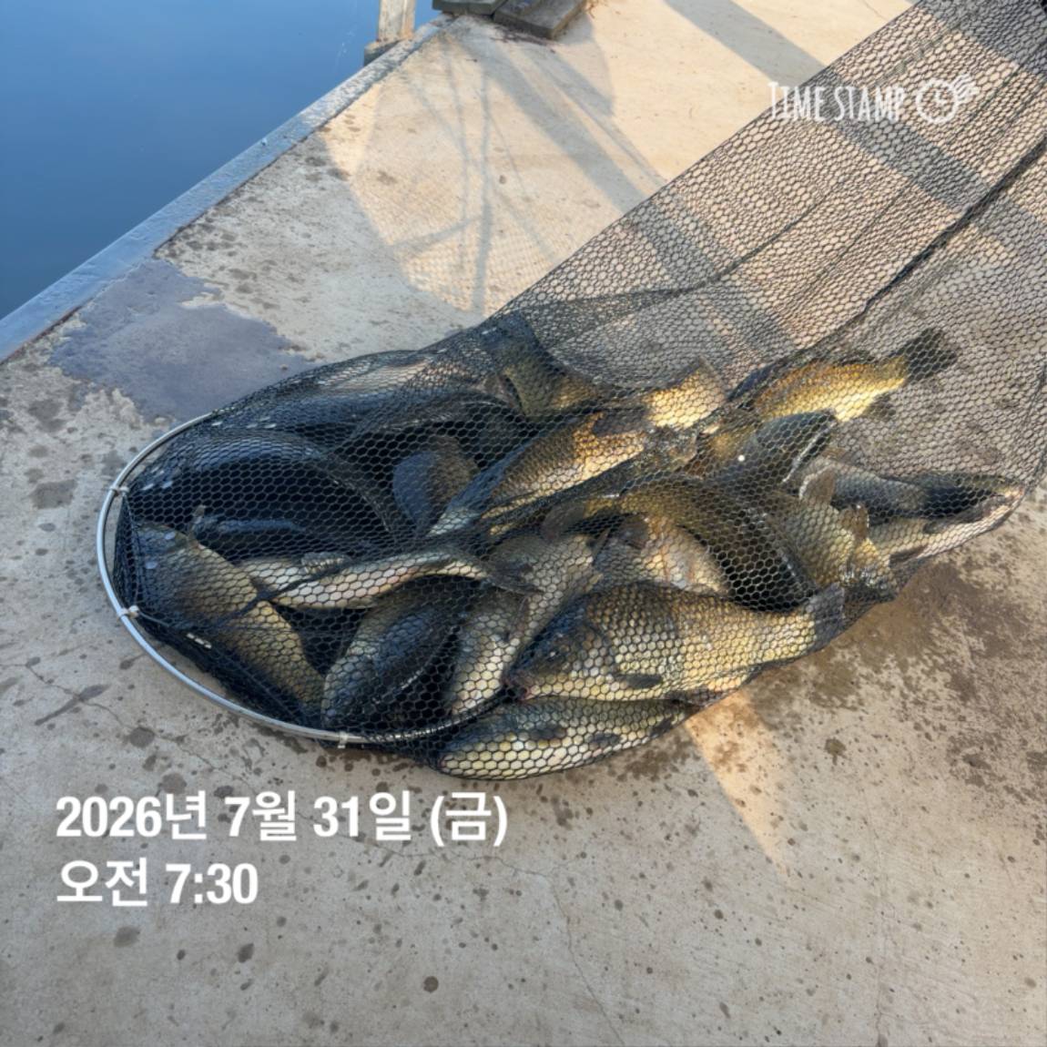 KakaoTalk_20260803_102247816_01.jpg