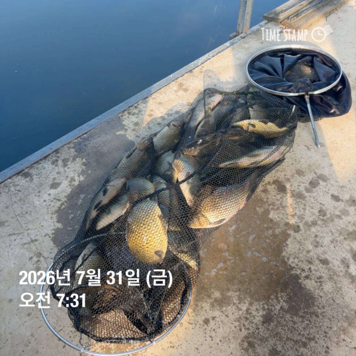 KakaoTalk_20260803_102247816_04.jpg