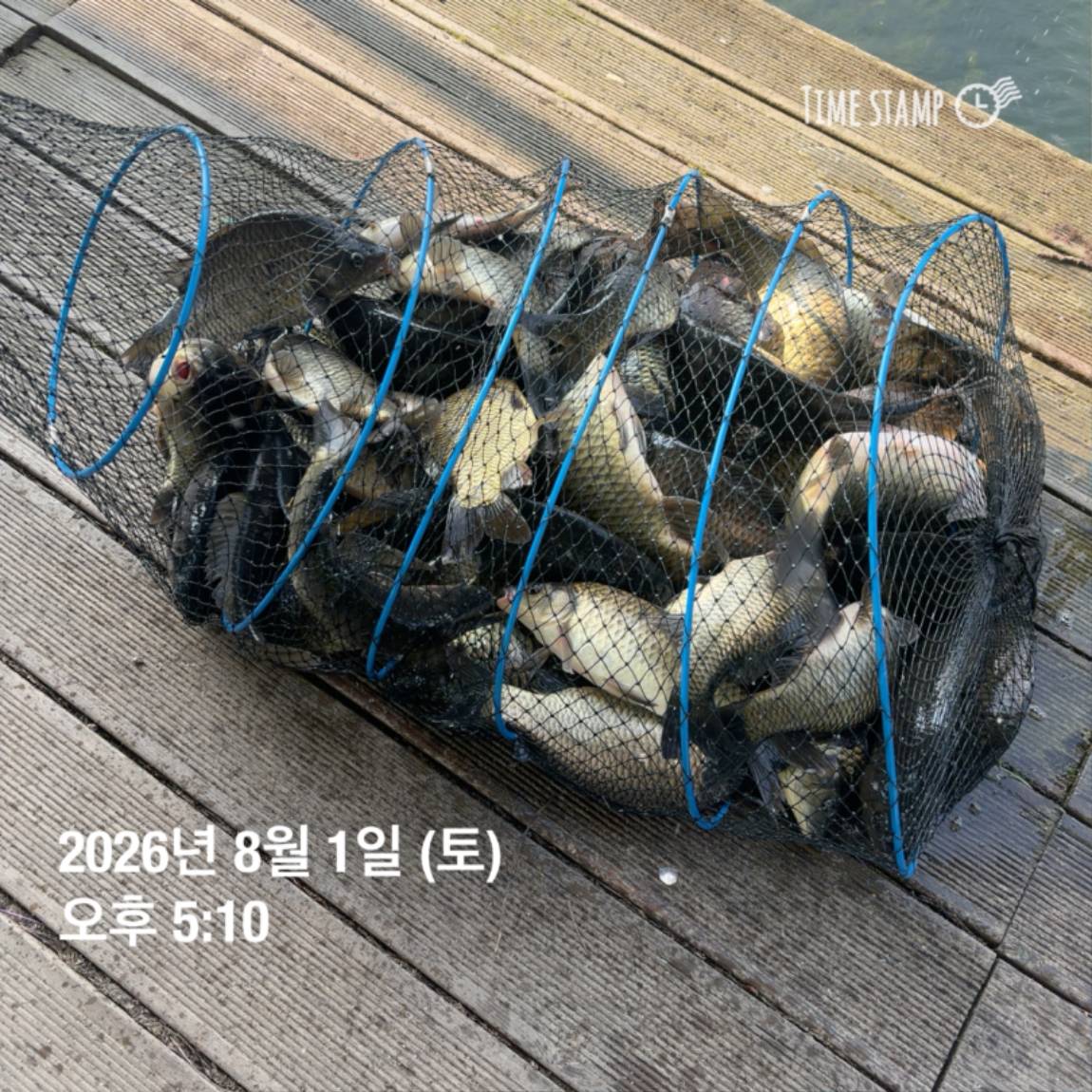KakaoTalk_20260803_102247816_11.jpg