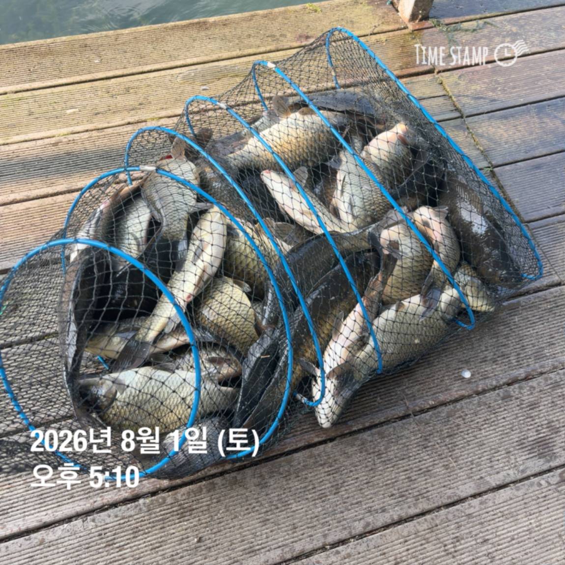 KakaoTalk_20260803_102247816_12.jpg