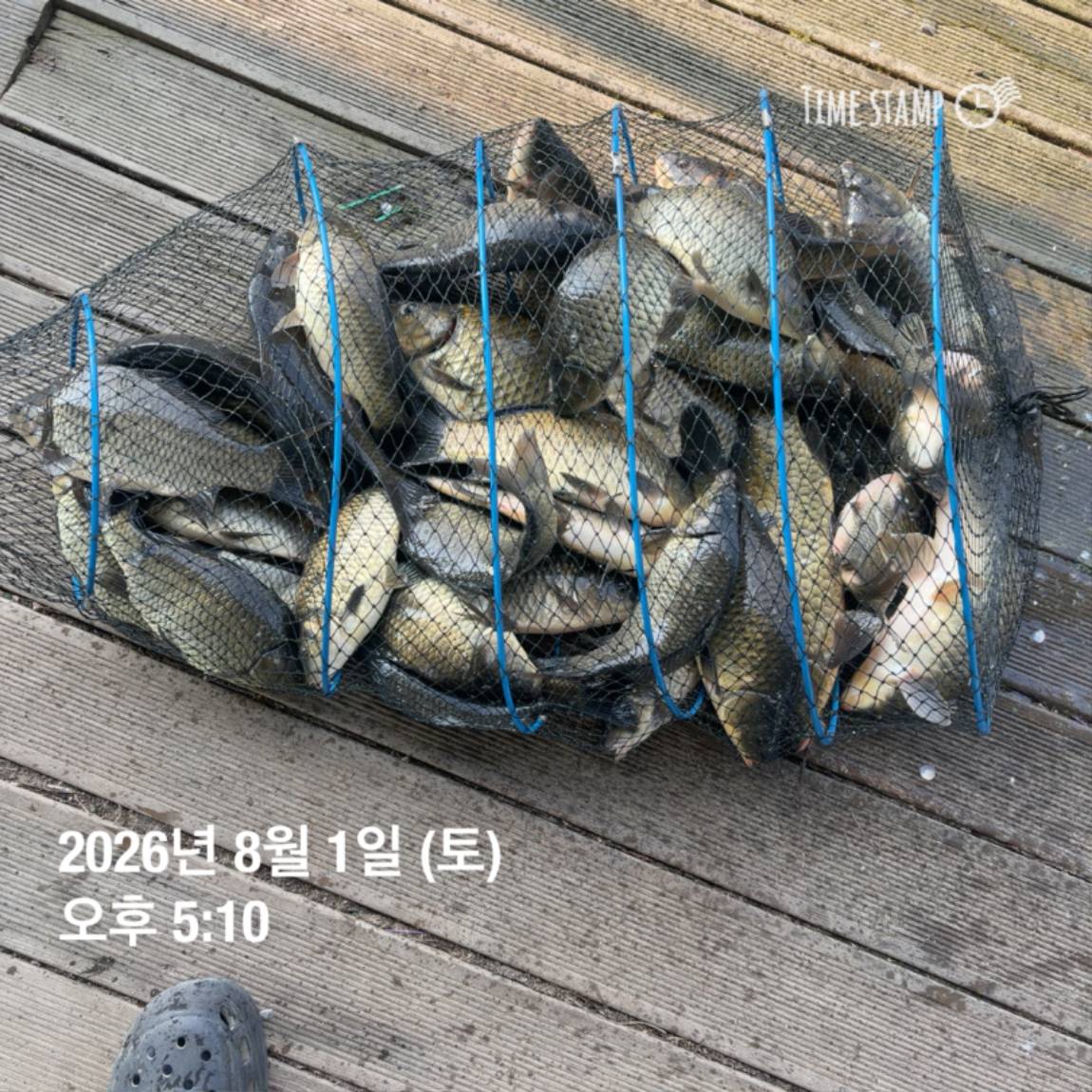KakaoTalk_20260803_102247816_13.jpg