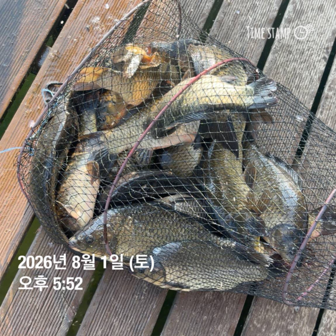 KakaoTalk_20260803_102247816_16.jpg