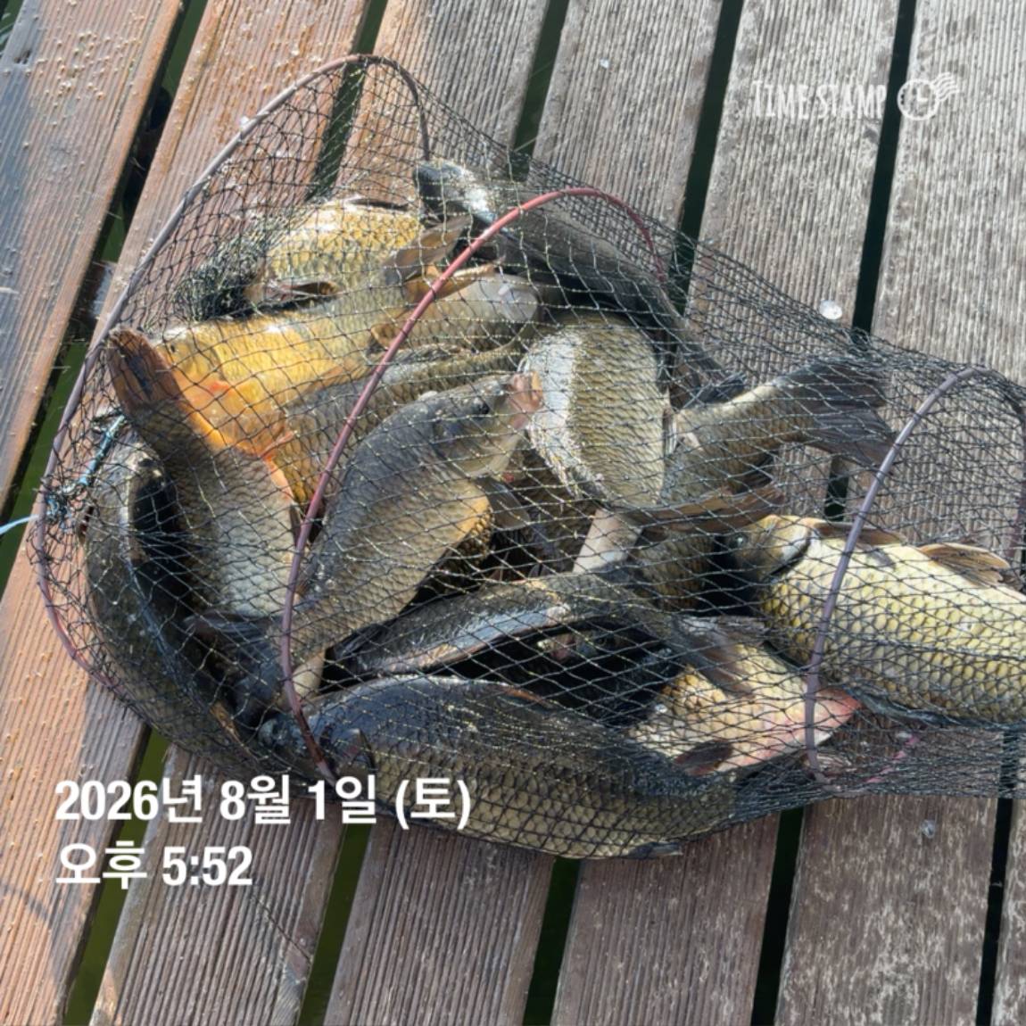 KakaoTalk_20260803_102247816_15.jpg