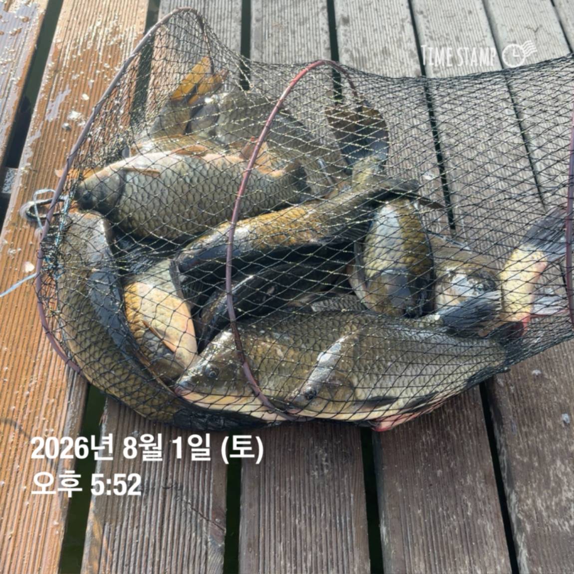 KakaoTalk_20260803_102247816_17.jpg