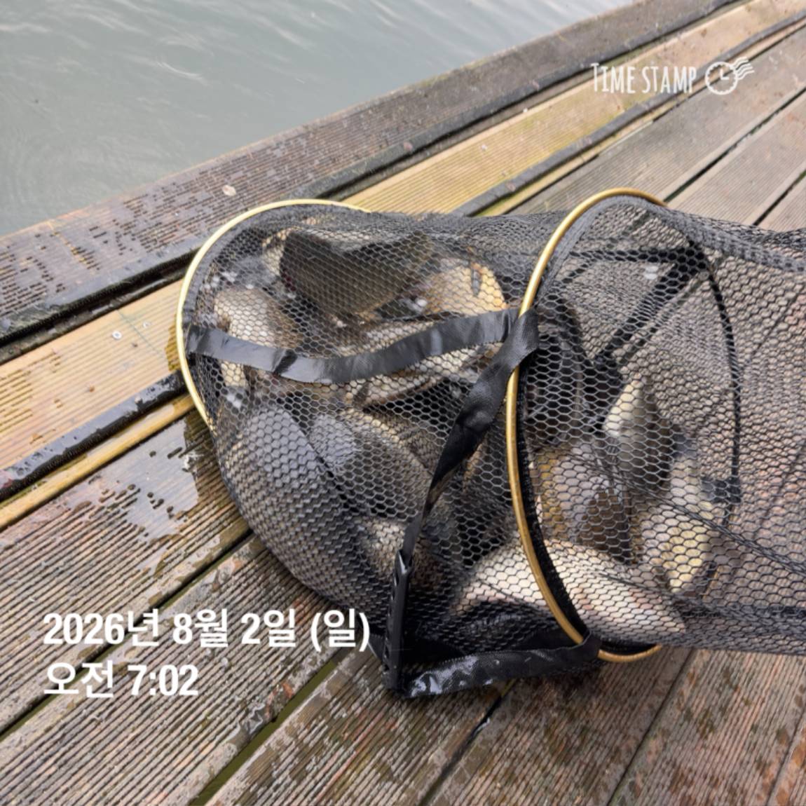 KakaoTalk_20260803_102247816_21.jpg