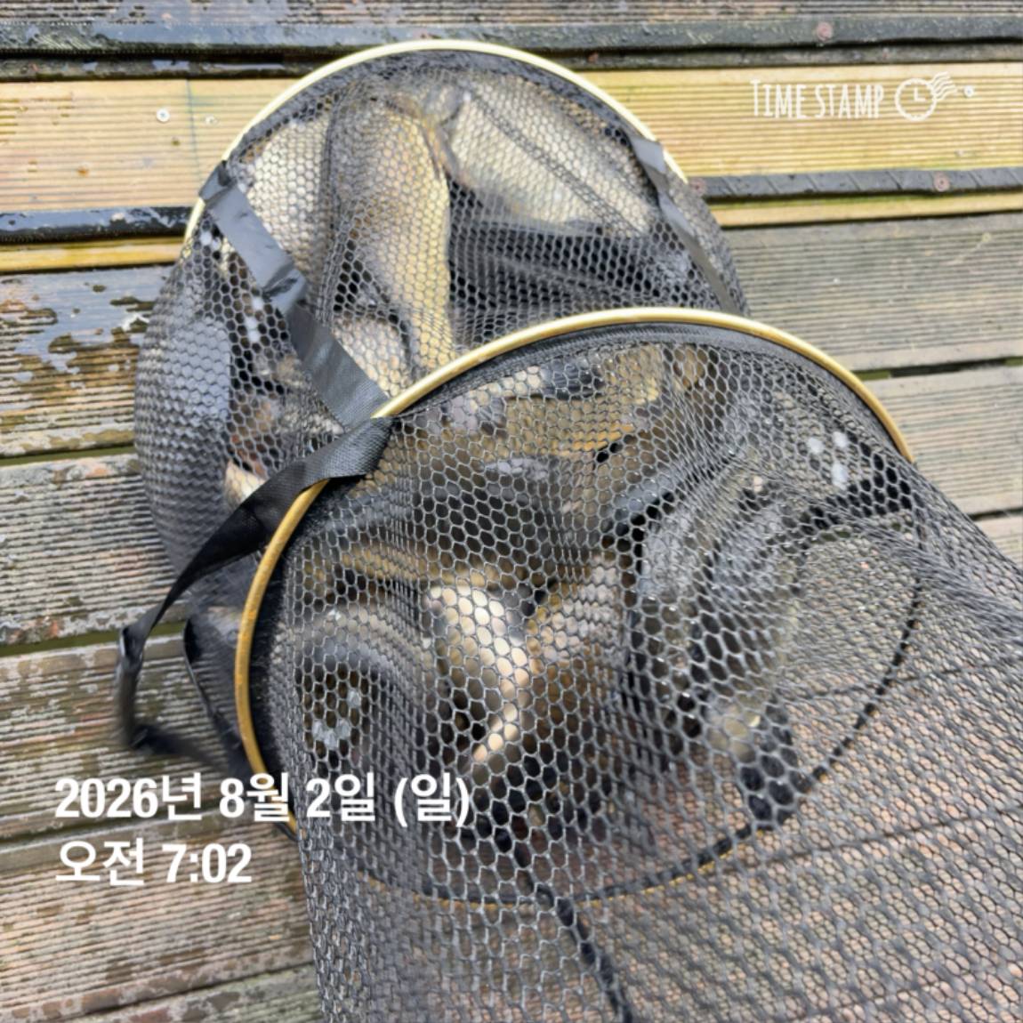 KakaoTalk_20260803_102247816_23.jpg