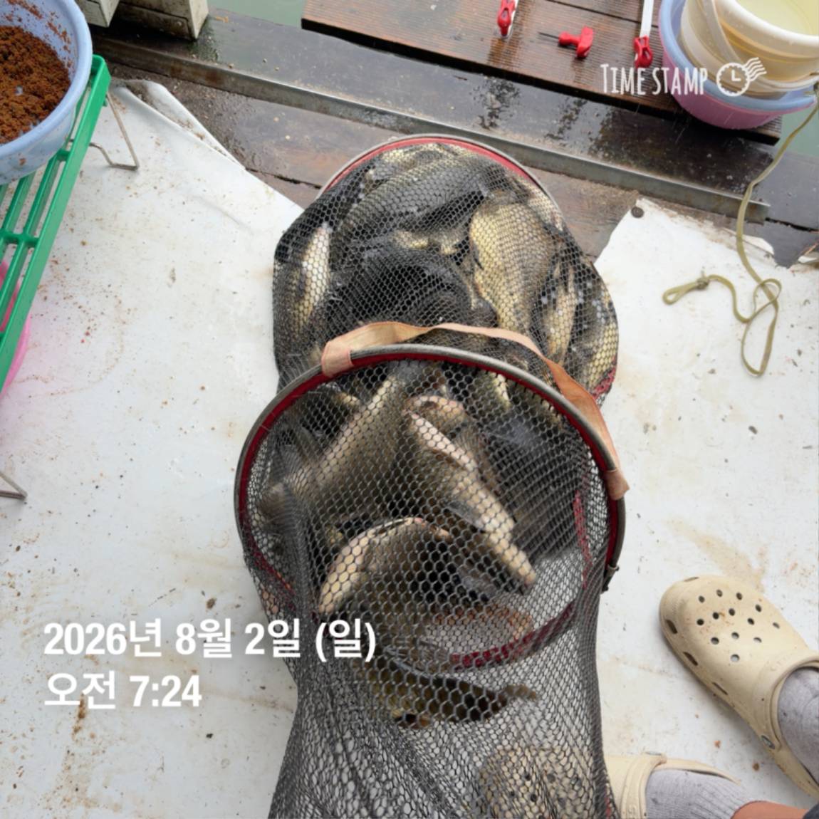 KakaoTalk_20260803_102247816_24.jpg