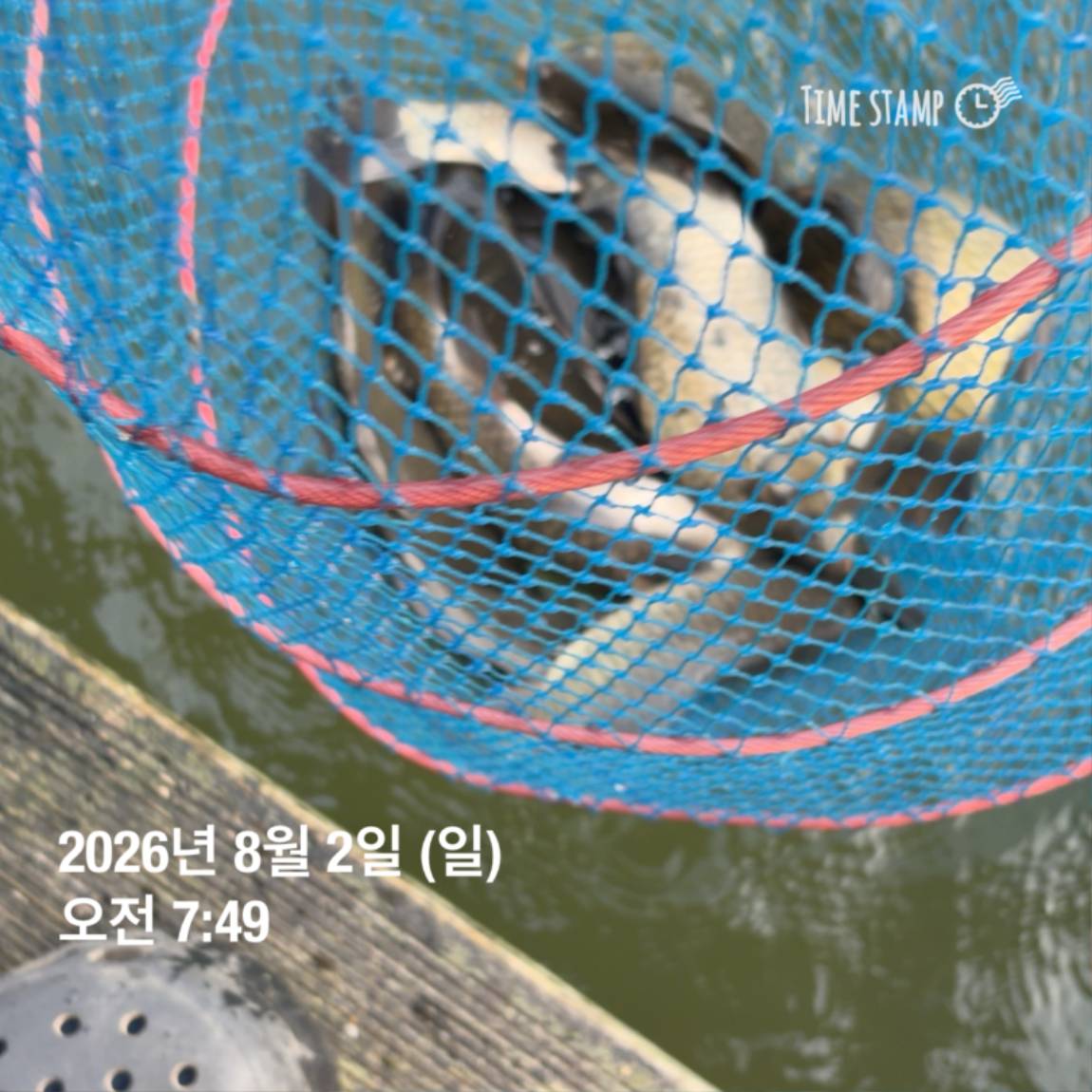 KakaoTalk_20260803_102247816_27.jpg