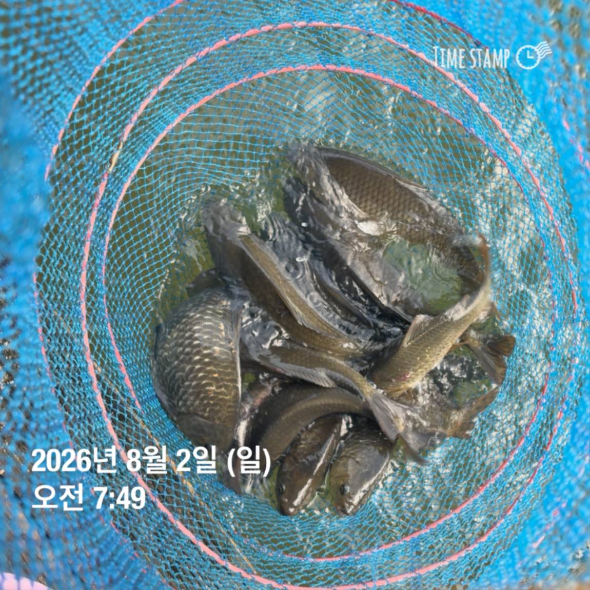 KakaoTalk_20260803_102247816_28.jpg