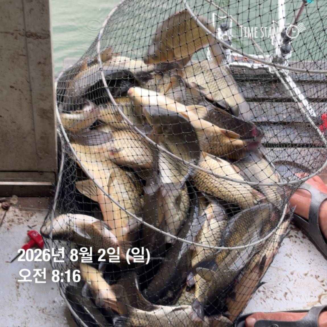 KakaoTalk_20260803_102247816_29.jpg