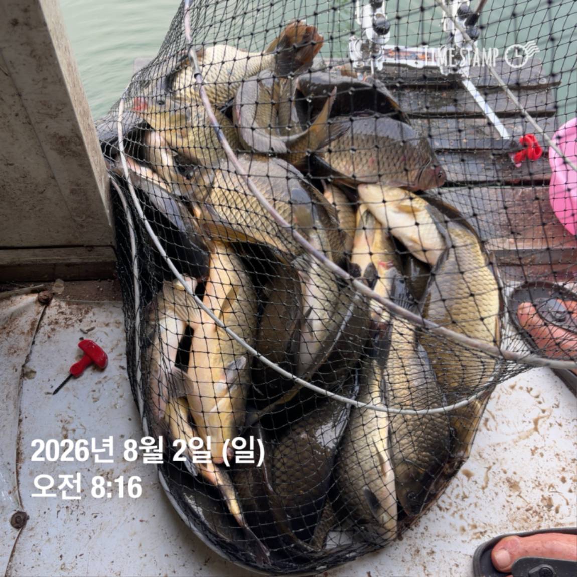 KakaoTalk_20260803_102258094.jpg