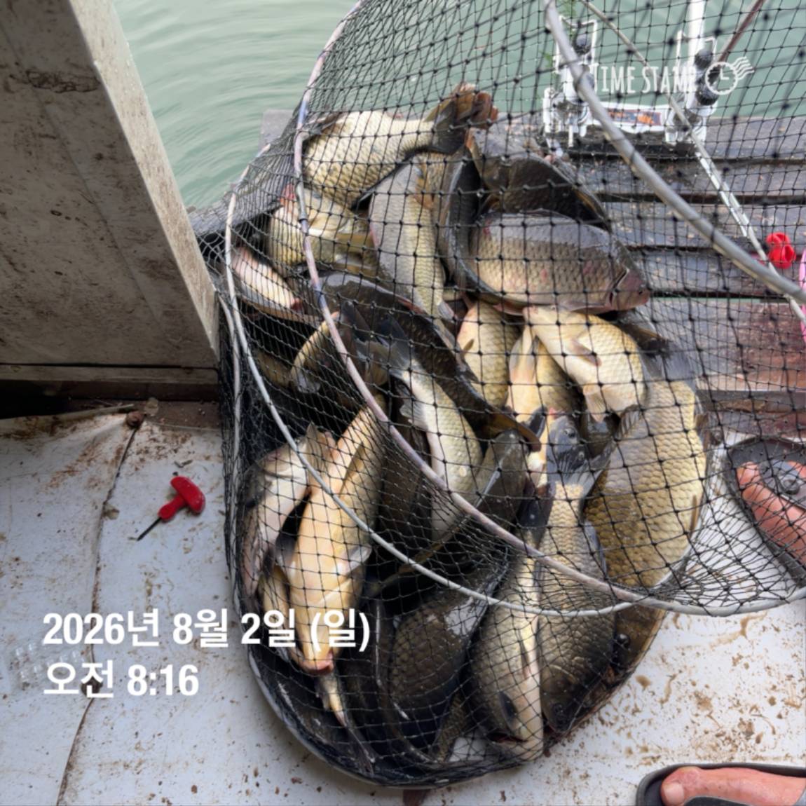 KakaoTalk_20260803_102258094_01.jpg