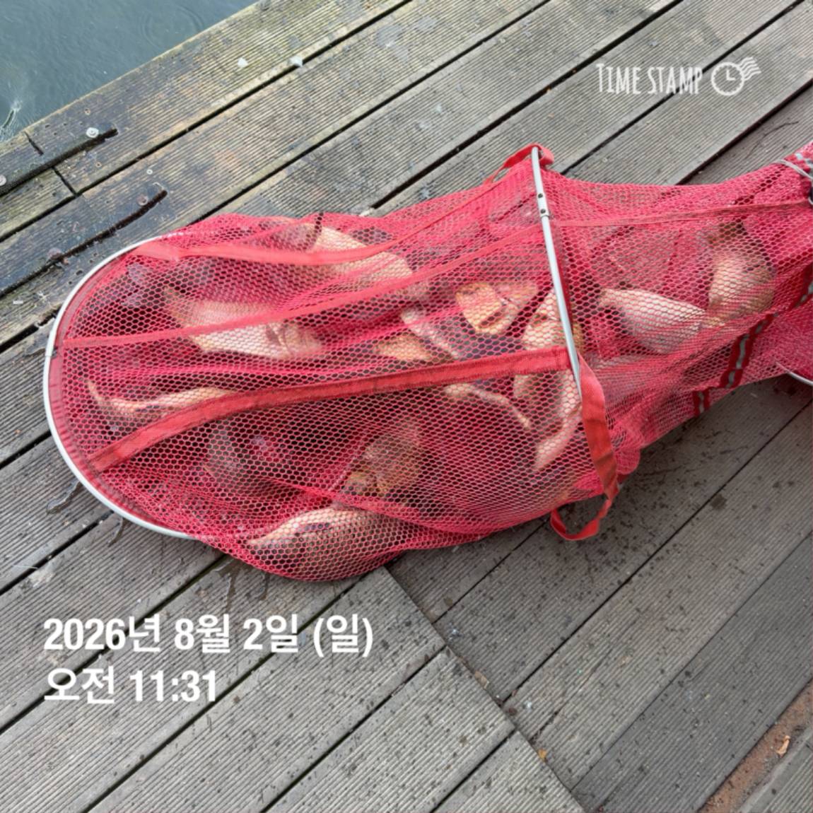 KakaoTalk_20260803_102258094_05.jpg