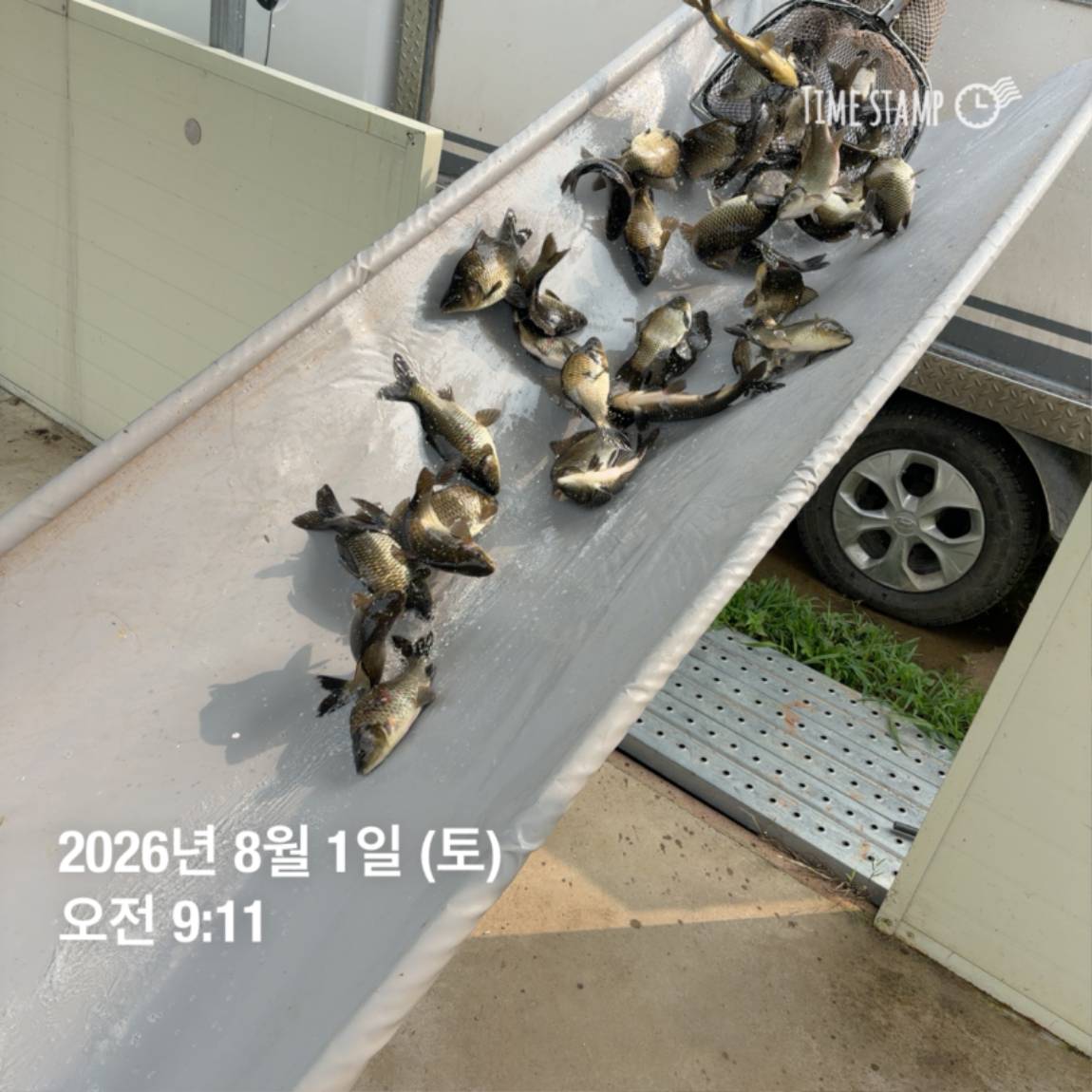 KakaoTalk_20260803_102258094_17.jpg