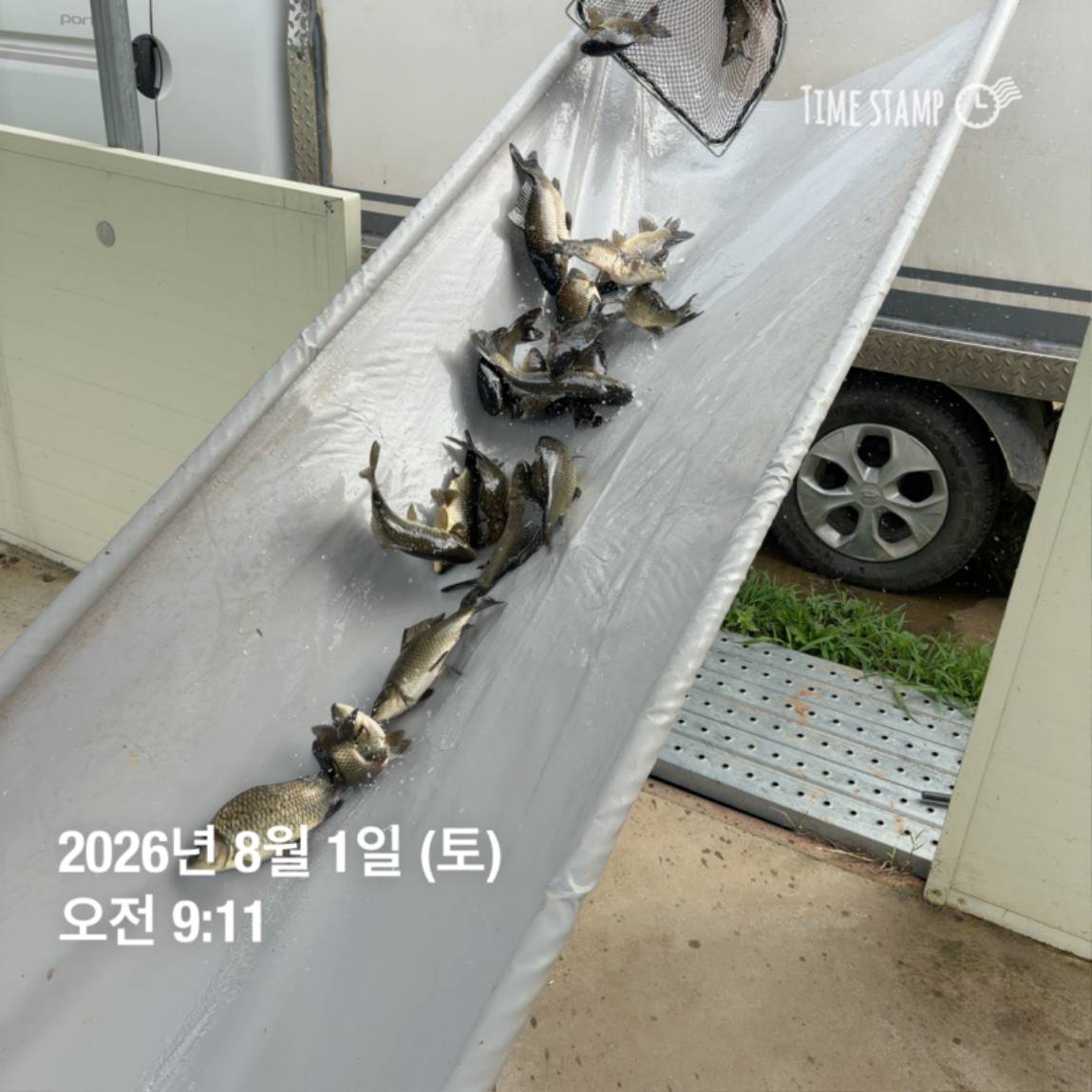KakaoTalk_20260803_102258094_19.jpg