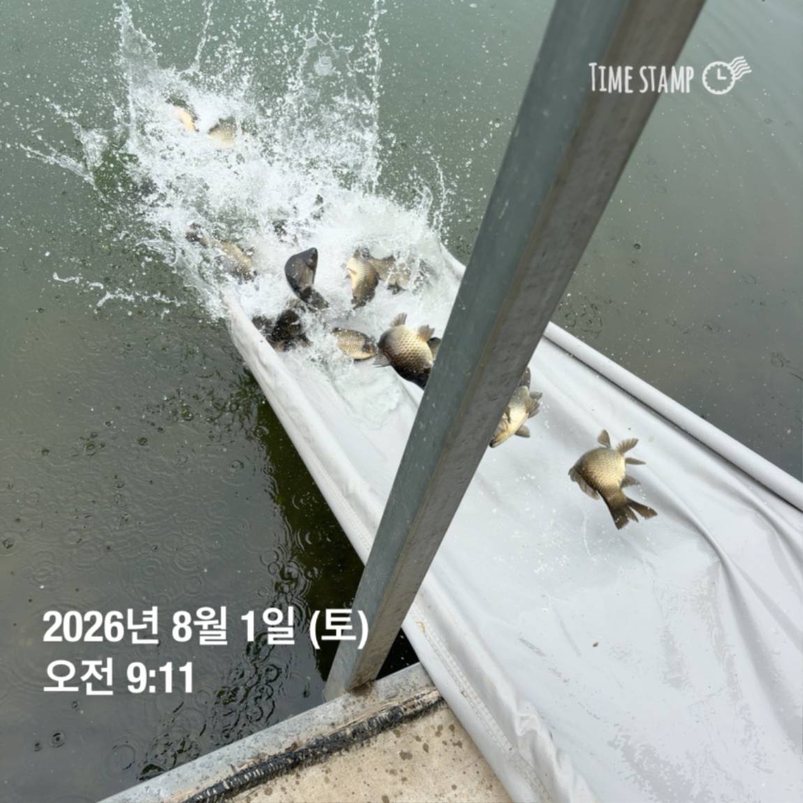 KakaoTalk_20260803_102258094_20.jpg