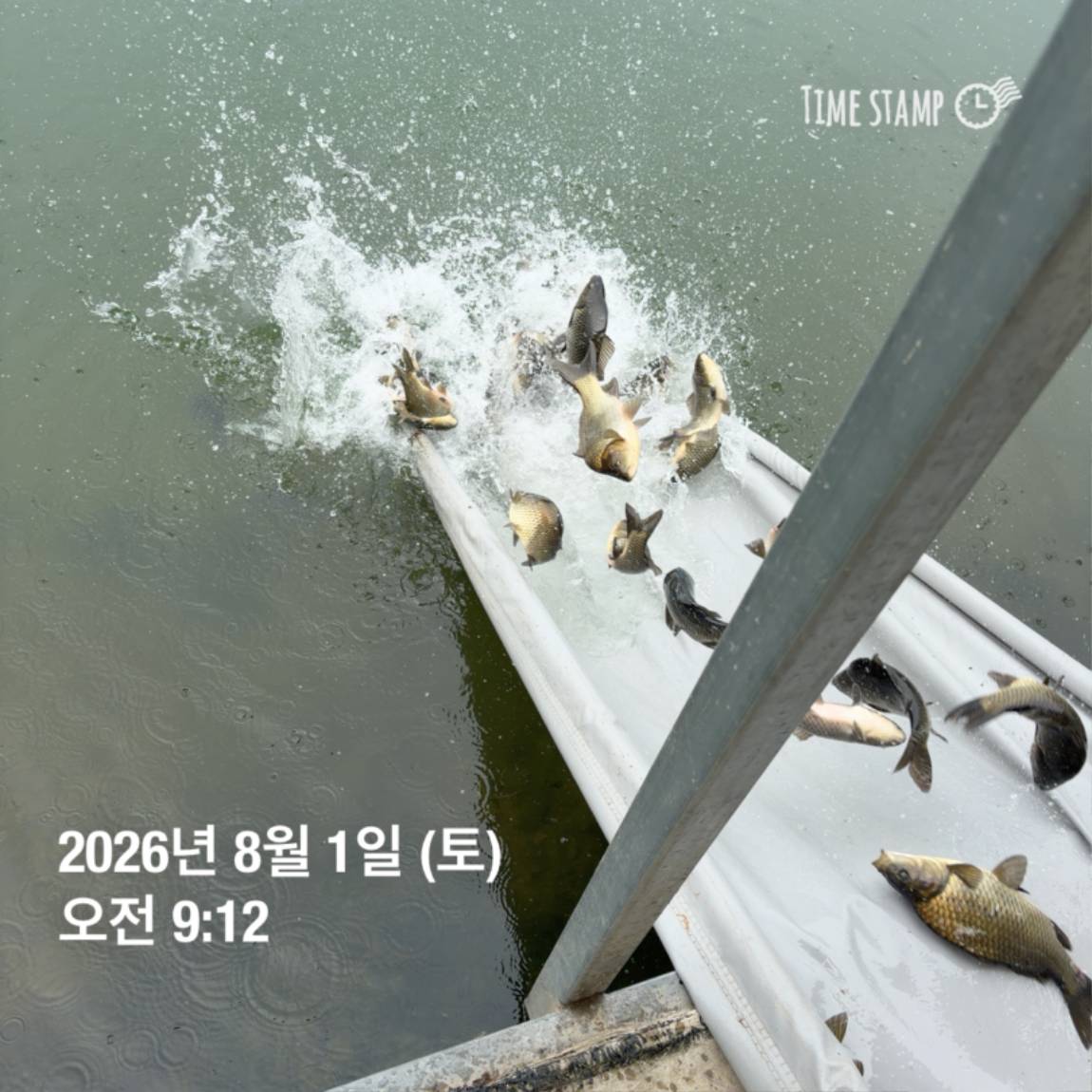 KakaoTalk_20260803_102258094_22.jpg