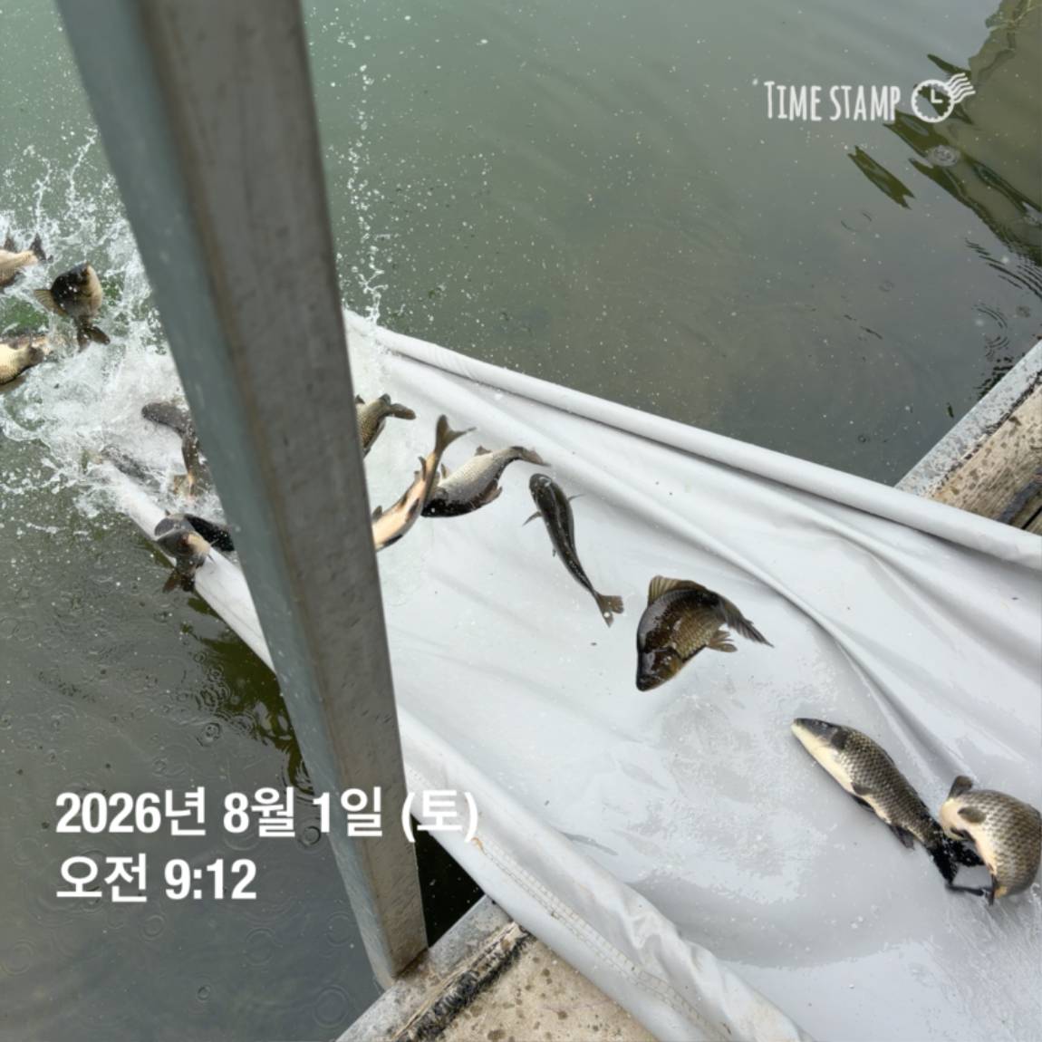 KakaoTalk_20260803_102258094_24.jpg