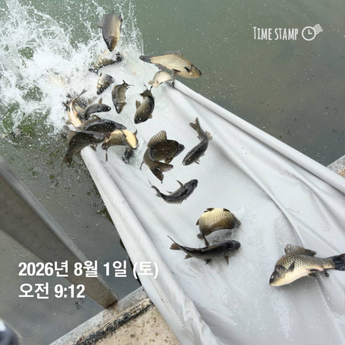 KakaoTalk_20260803_102258094_27.jpg