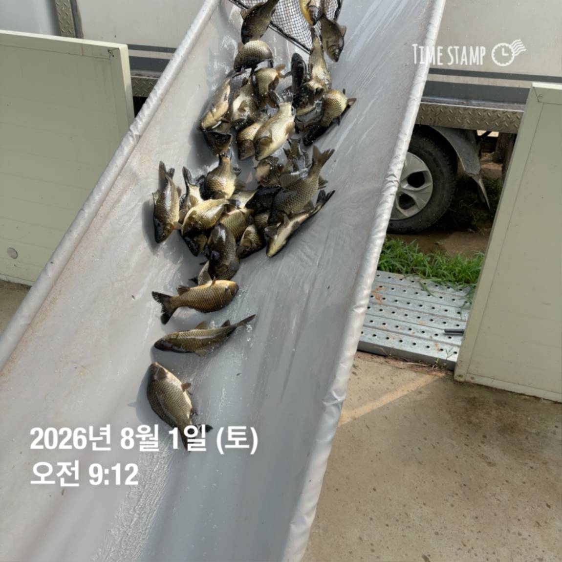 KakaoTalk_20260803_102258094_26.jpg