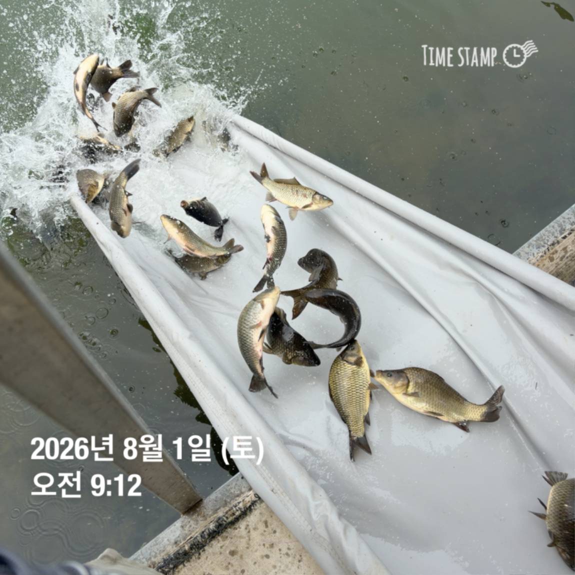 KakaoTalk_20260803_102258094_29.jpg