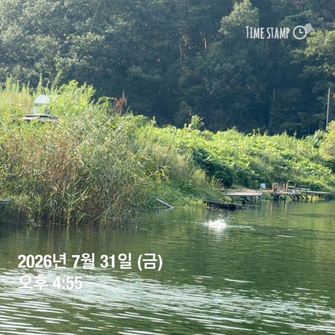 KakaoTalk_20260803_102746159_01.jpg