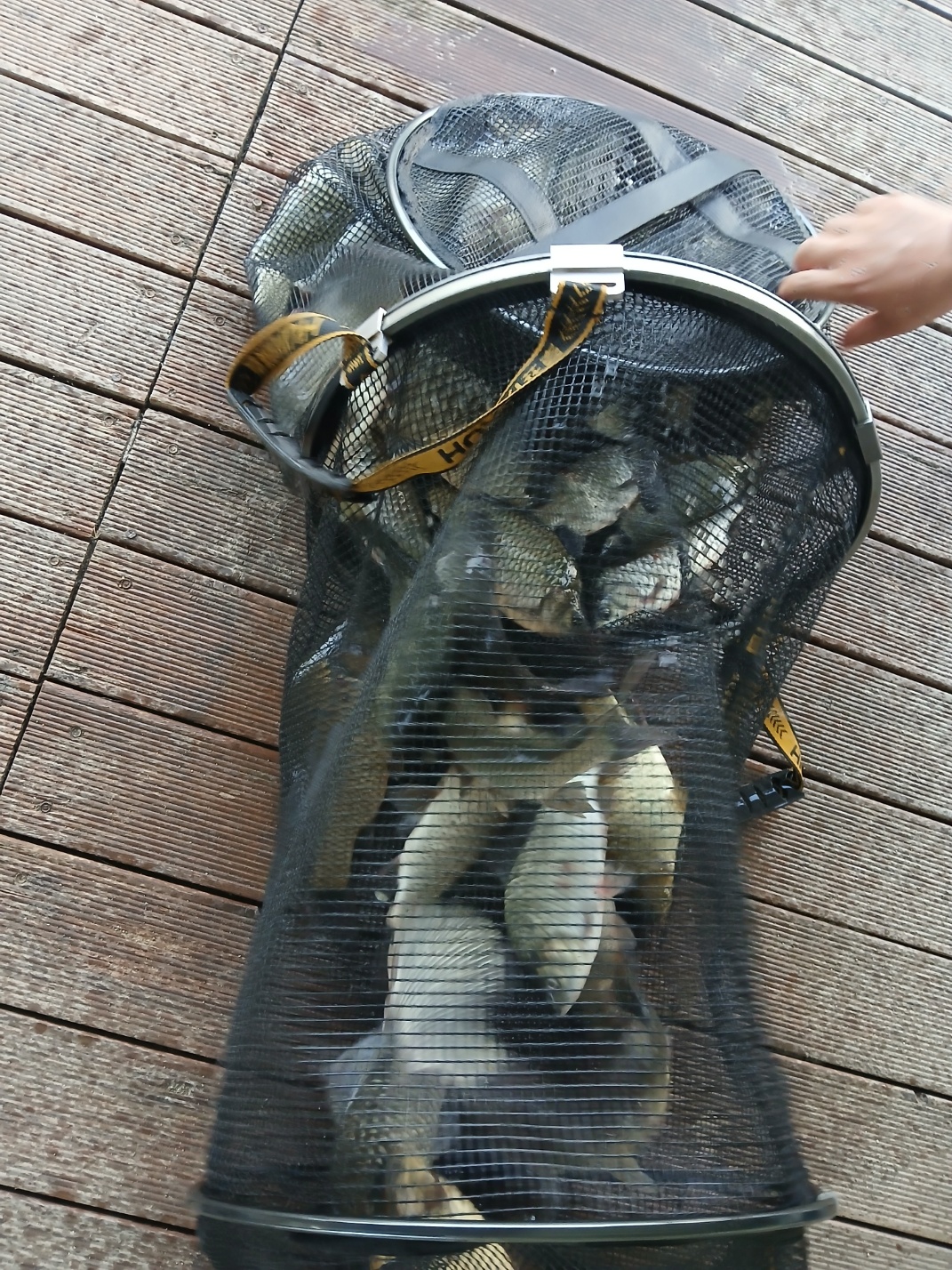 KakaoTalk_20260801_191359734_03.jpg