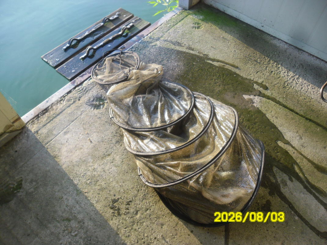 SAM_1762.JPG