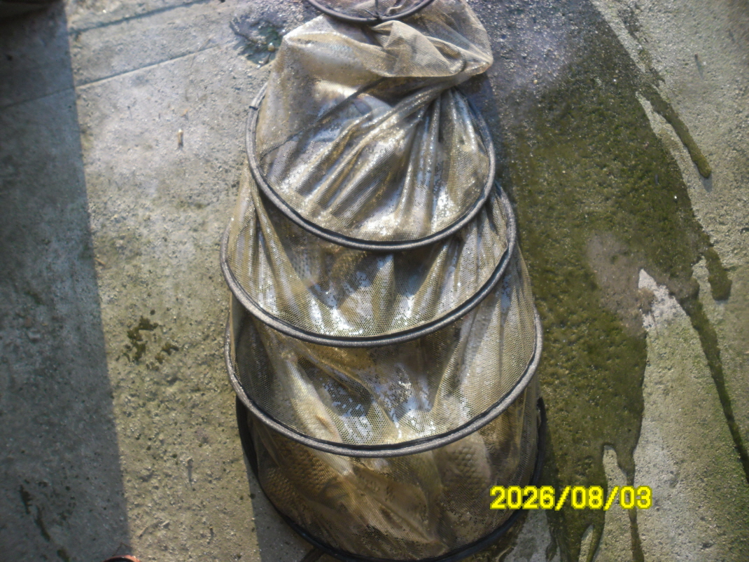 SAM_1763.JPG