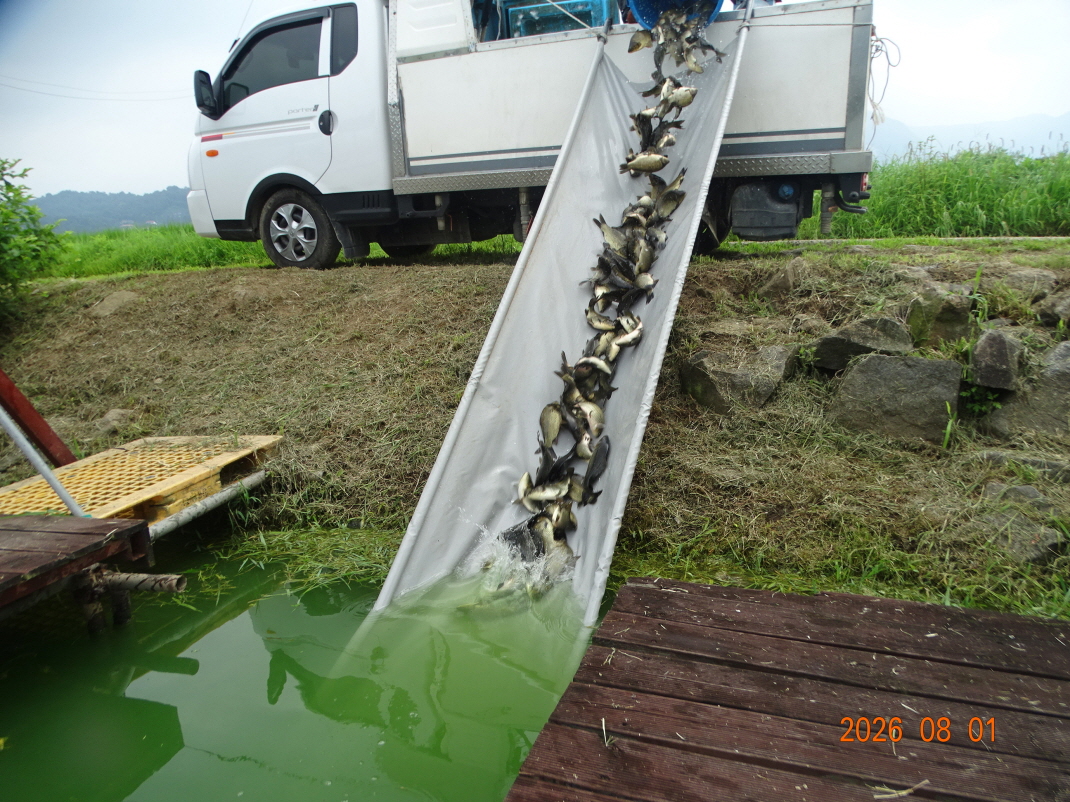 DSC06866.JPG