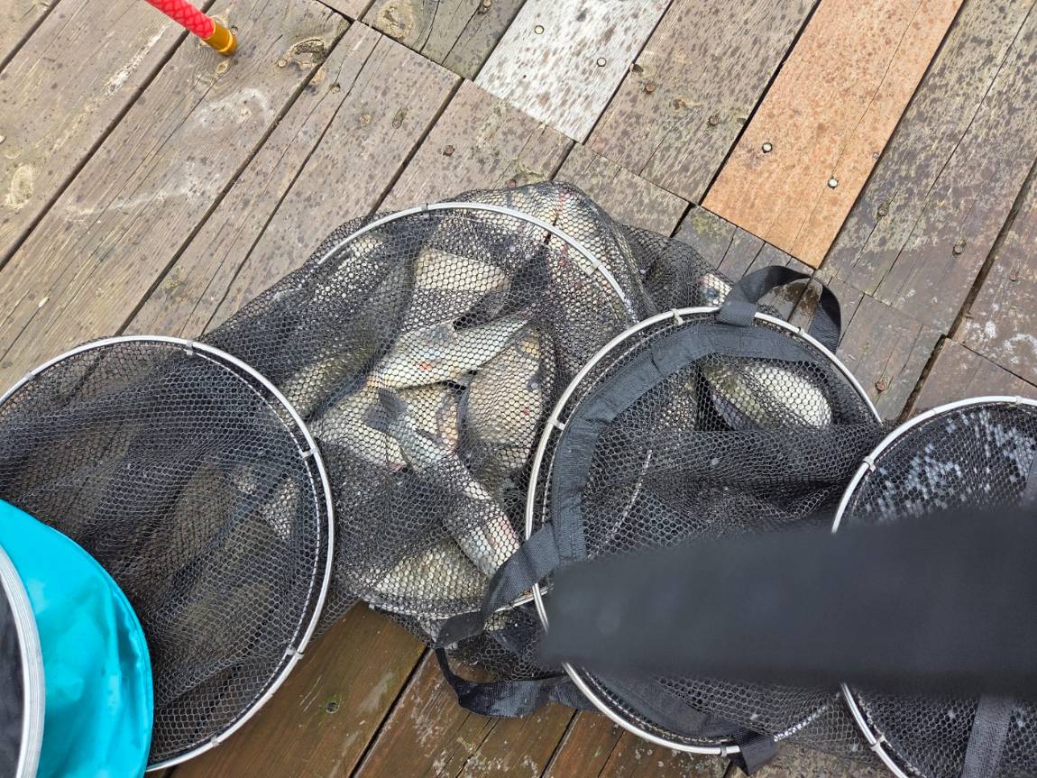 KakaoTalk_20260802_124241117_02.jpg