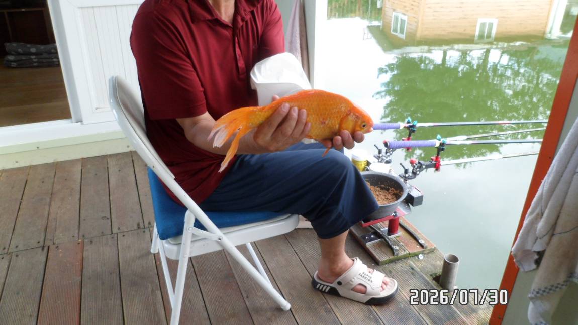 SAM_6904.JPG