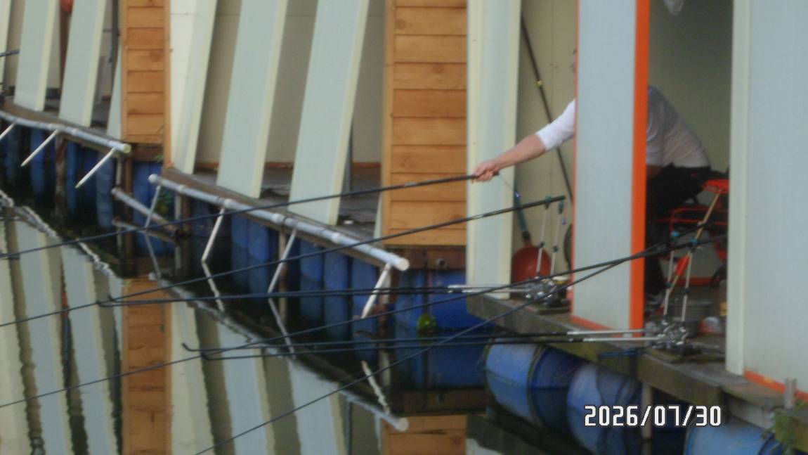 SAM_6906.JPG