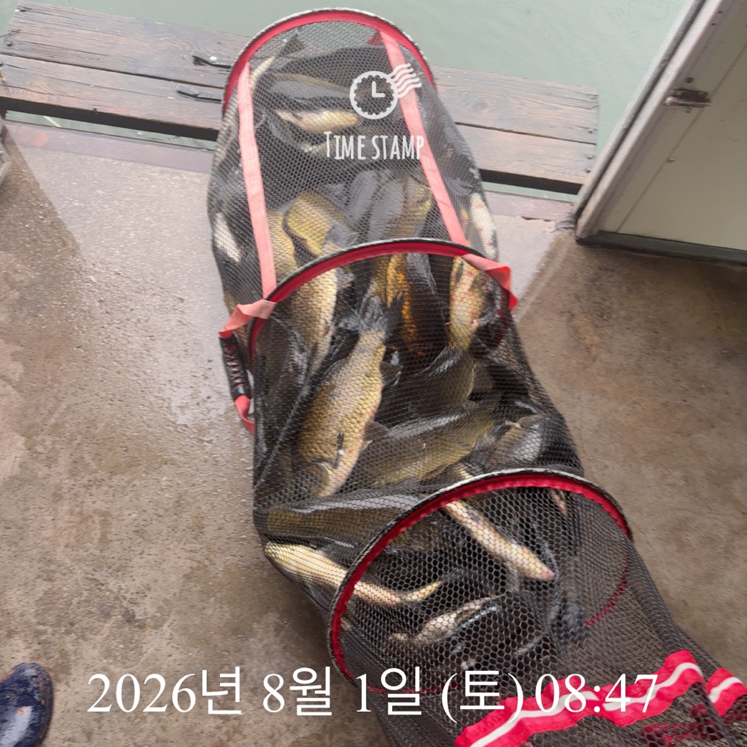 KakaoTalk_20260804_075126350_20.jpg
