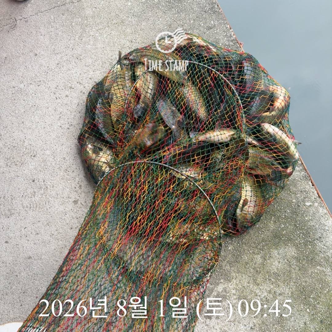 KakaoTalk_20260804_075126350_19.jpg
