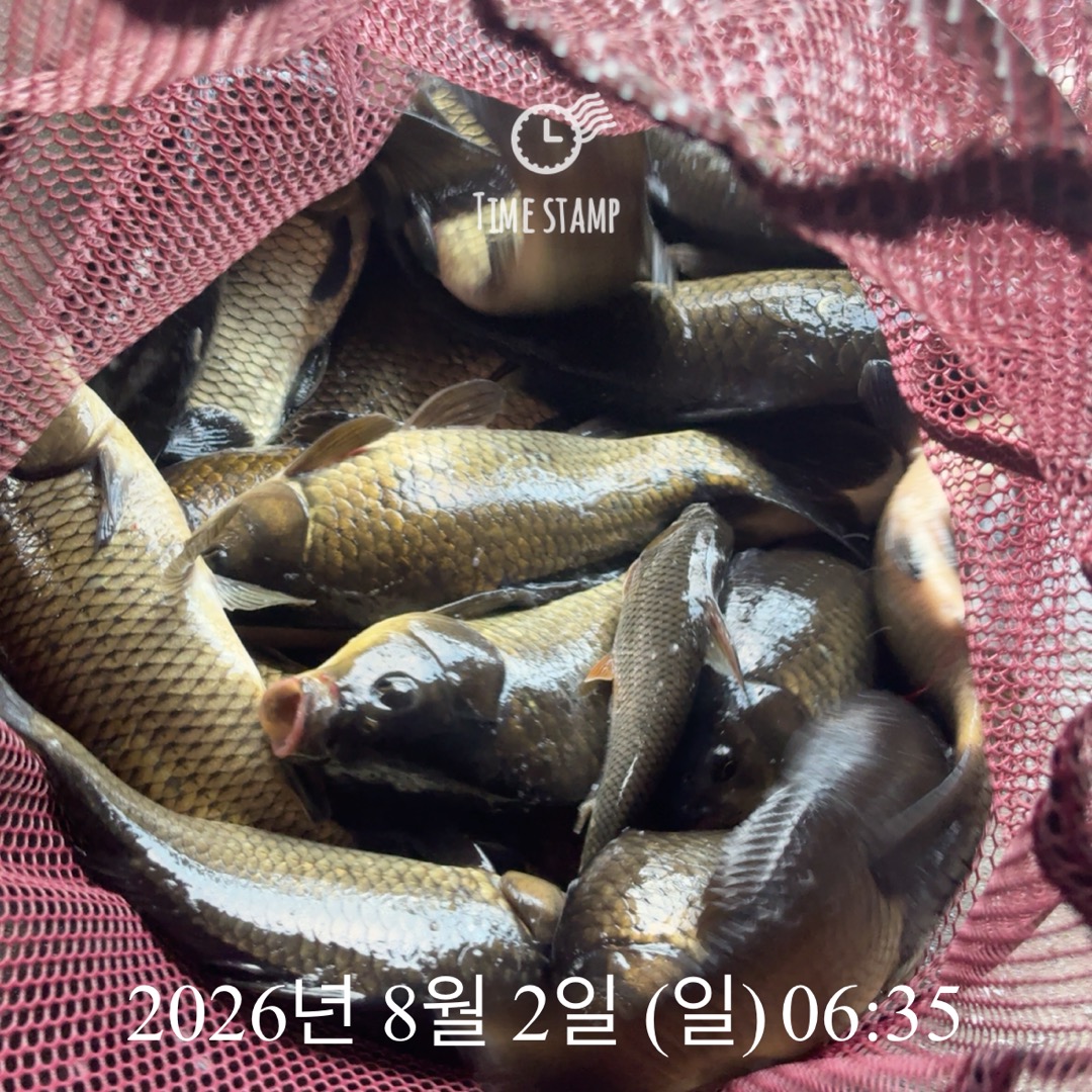 KakaoTalk_20260804_075126350_10.jpg