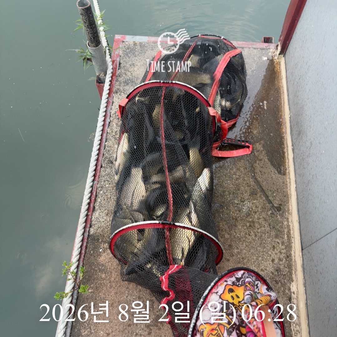 KakaoTalk_20260804_075126350_13.jpg