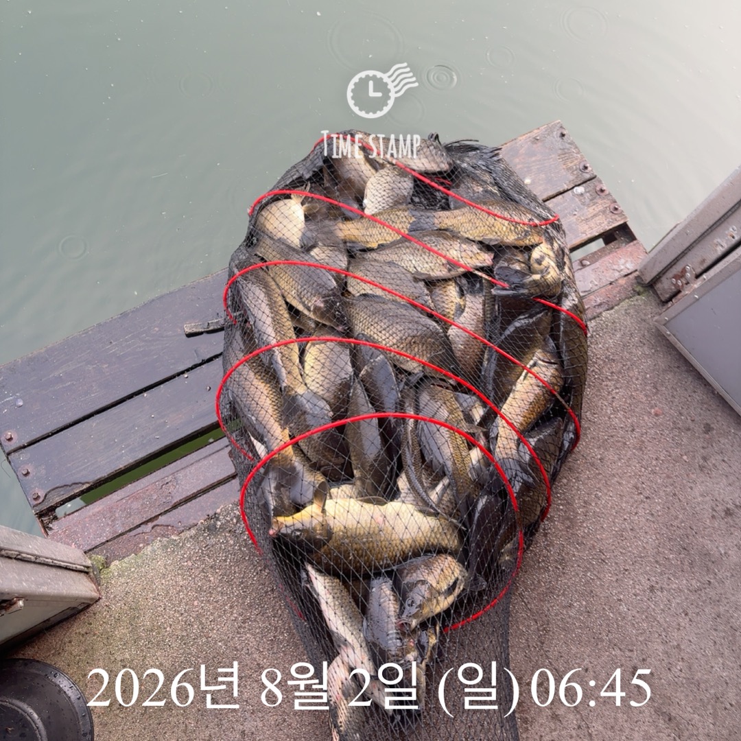KakaoTalk_20260804_075126350_09.jpg
