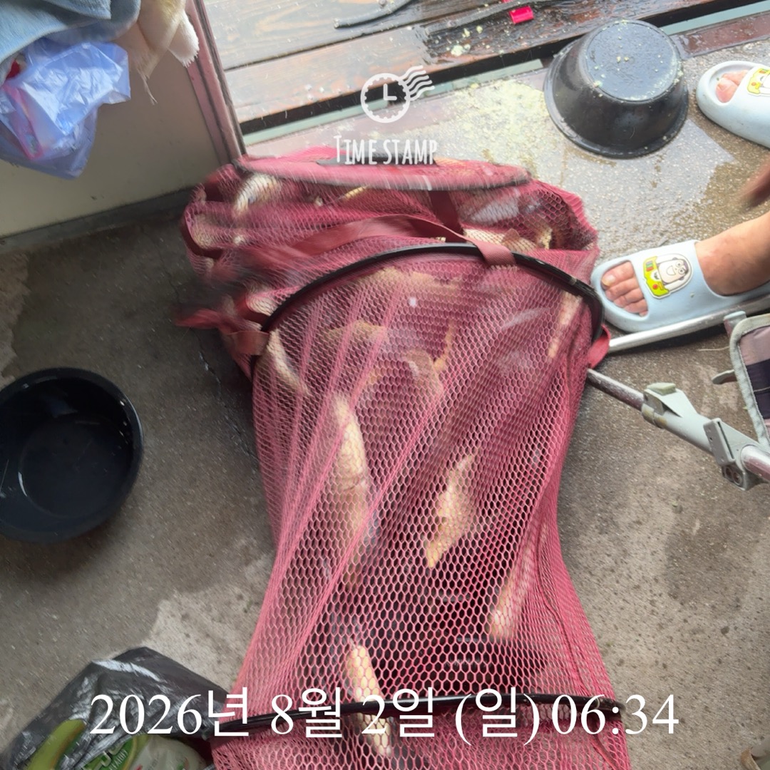 KakaoTalk_20260804_075126350_11.jpg