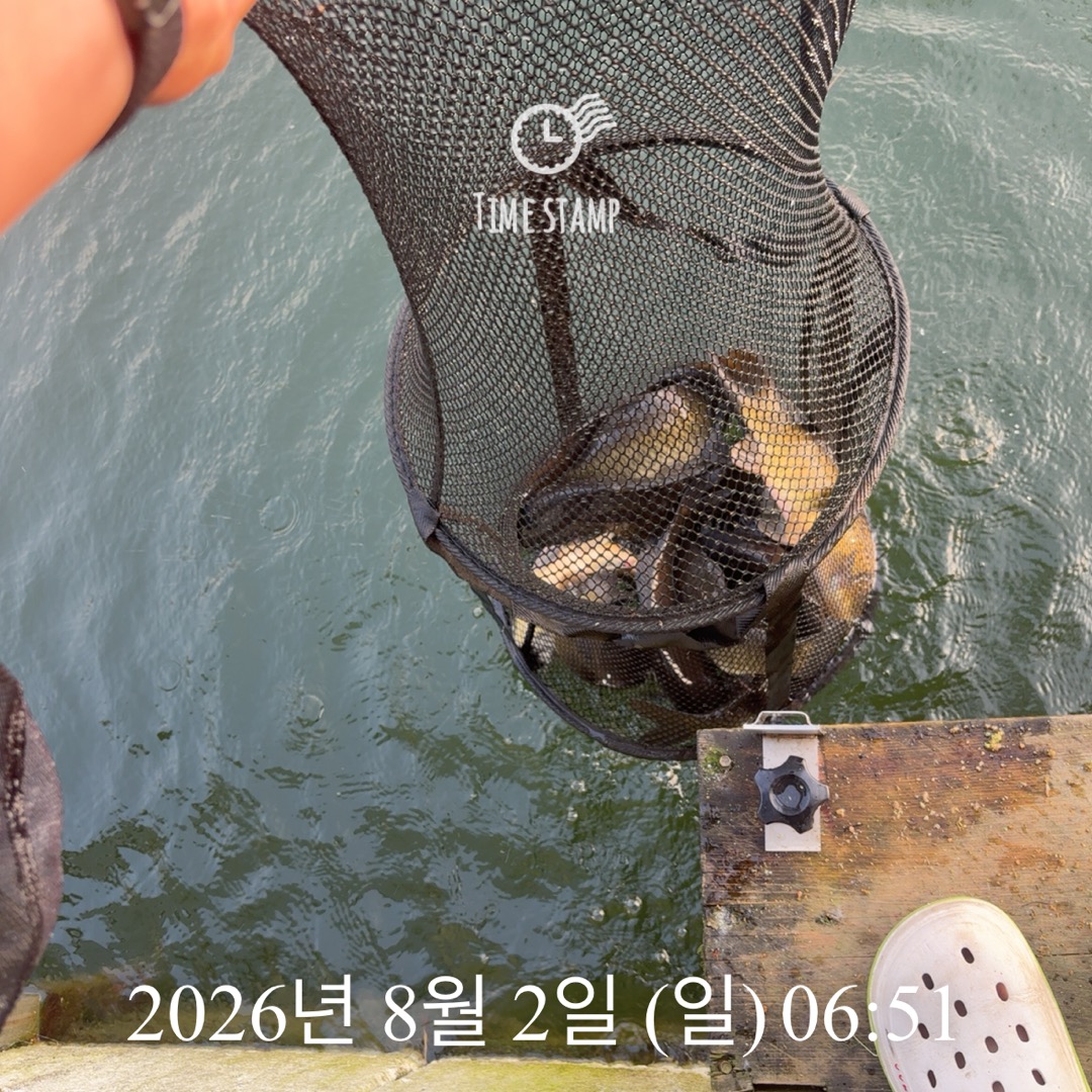 KakaoTalk_20260804_075126350_08.jpg