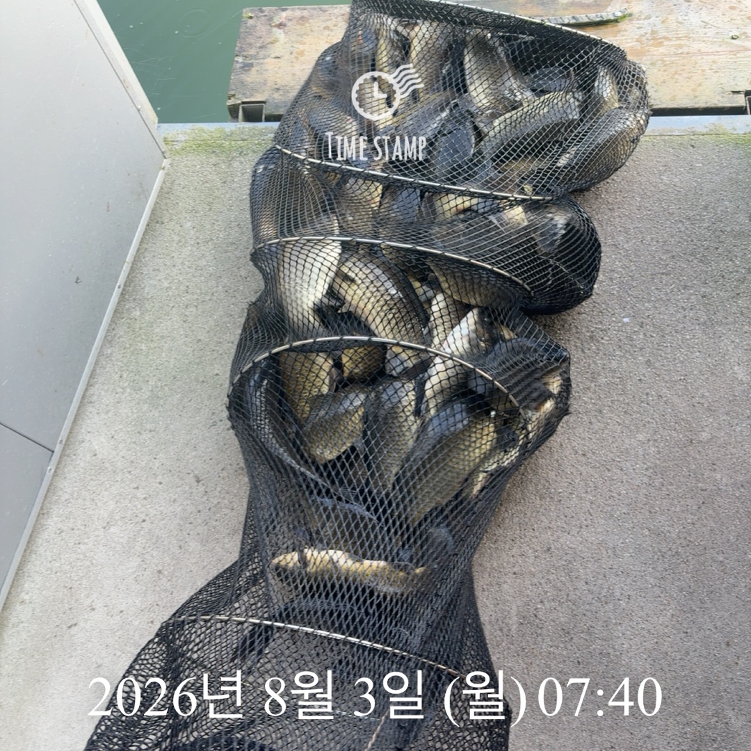 KakaoTalk_20260804_075126350_01.jpg