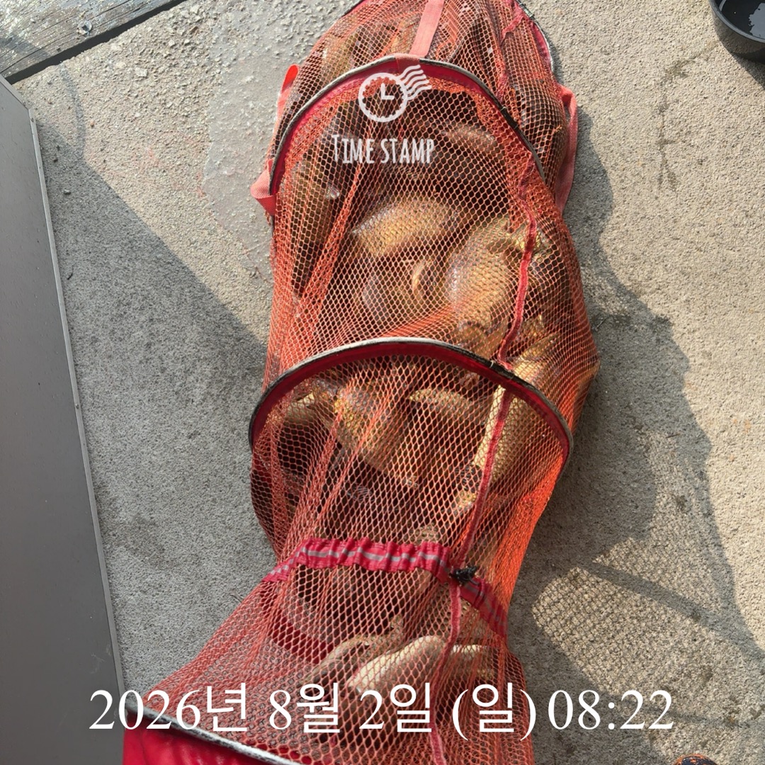 KakaoTalk_20260804_075126350_04.jpg