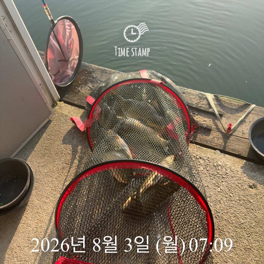 KakaoTalk_20260804_075126350_02.jpg